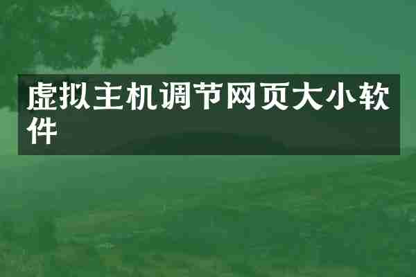 虚拟主机调节网页大小软件