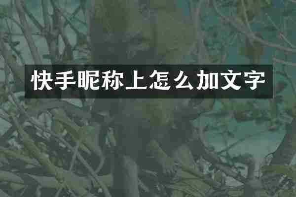 快手昵称上怎么加文字