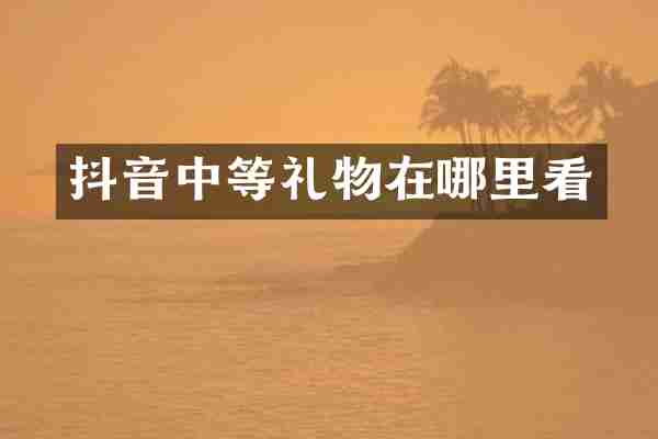 抖音中等礼物在哪里看