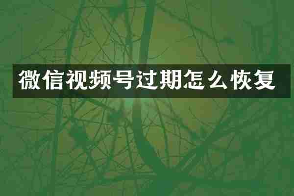 微信视频号过期怎么恢复