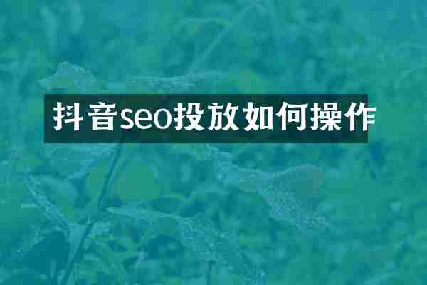 抖音seo投放如何操作