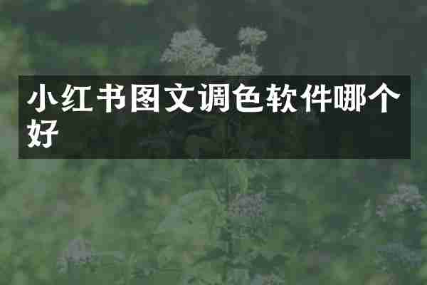 小红书图文调色软件哪个好