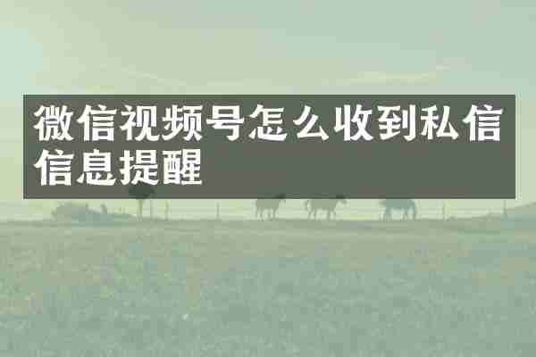 微信视频号怎么收到私信信息提醒