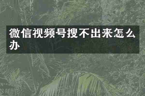 微信视频号搜不出来怎么办