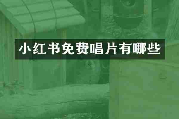小红书免费唱片有哪些