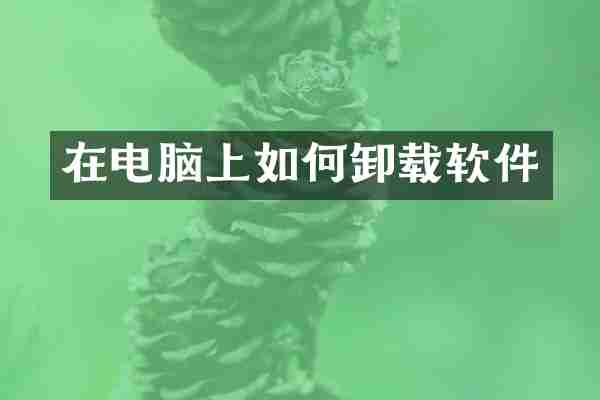 在电脑上如何卸载软件