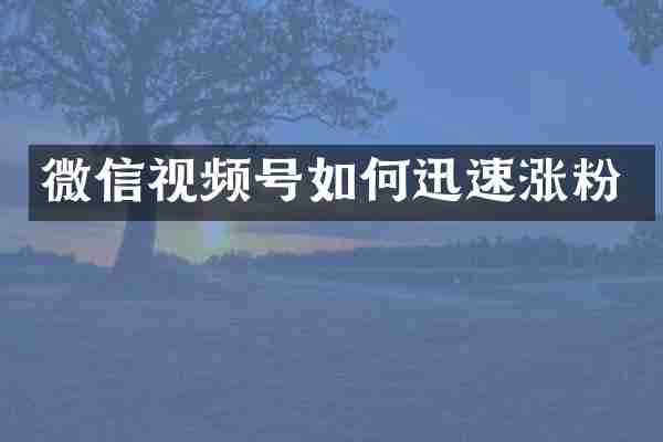 微信视频号如何迅速涨粉