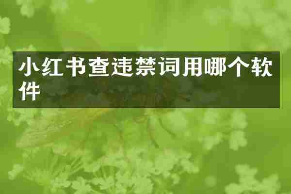 小红书查违禁词用哪个软件