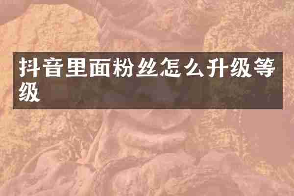 抖音里面粉丝怎么升级等级