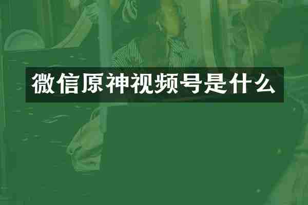 微信原神视频号是什么