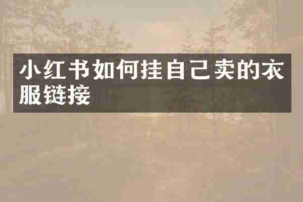 小红书如何挂自己卖的衣服链接