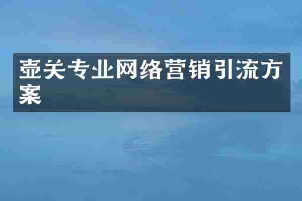 壶关专业网络营销引流方案