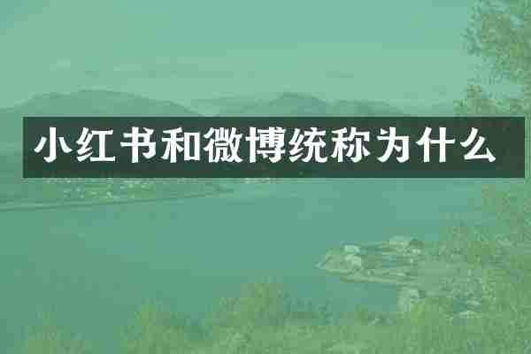 小红书和微博统称为什么