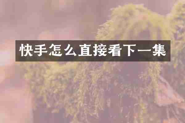 快手怎么直接看下一集