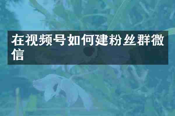 在视频号如何建粉丝群微信
