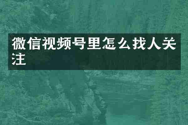 微信视频号里怎么找人关注