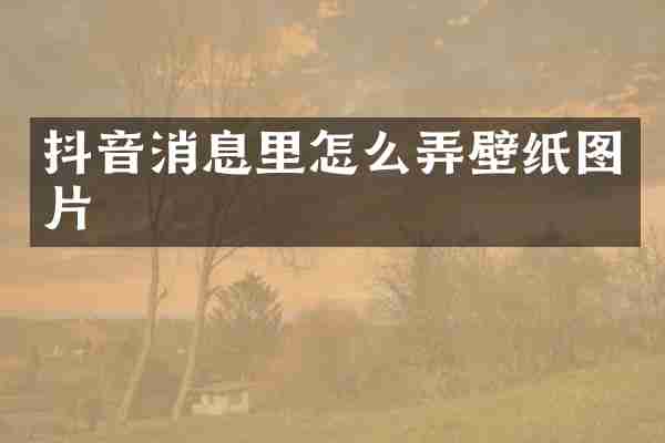 抖音消息里怎么弄壁纸图片