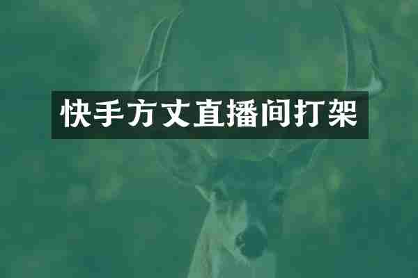 快手方丈直播间打架