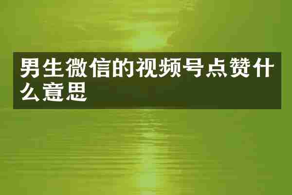 男生微信的视频号点赞什么意思