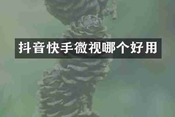 抖音快手微视哪个好用