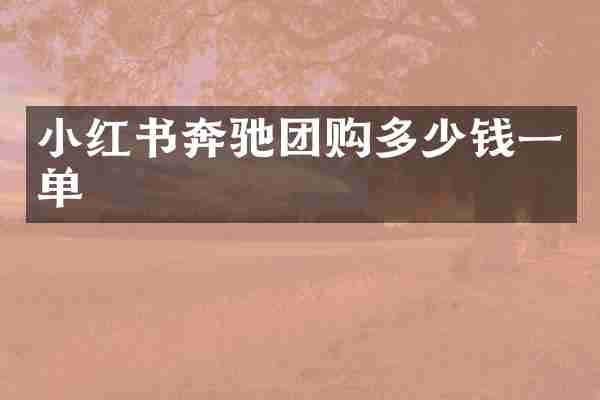 小红书奔驰团购多少钱一单