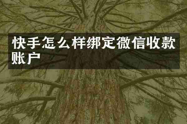 快手怎么样绑定微信收款账户