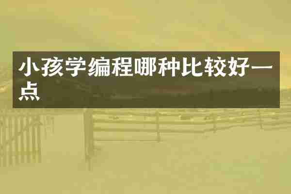 小孩学编程哪种比较好一点