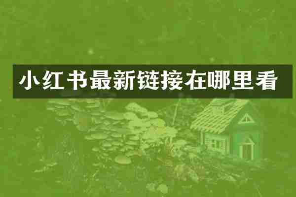 小红书最新链接在哪里看