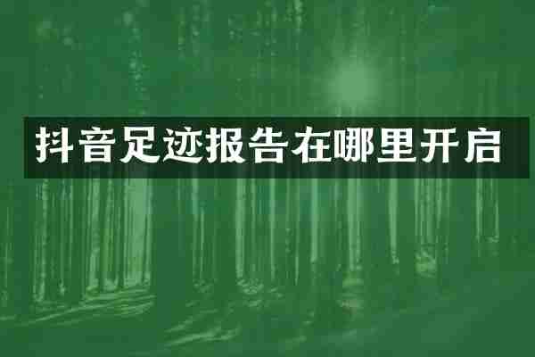 抖音足迹报告在哪里开启