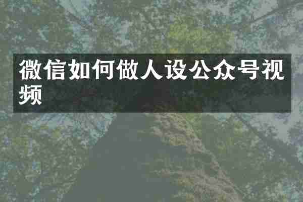 微信如何做人设公众号视频