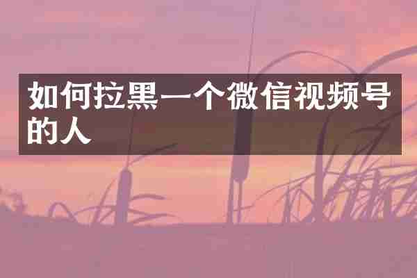 如何拉黑一个微信视频号的人