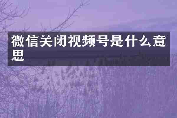 微信关闭视频号是什么意思