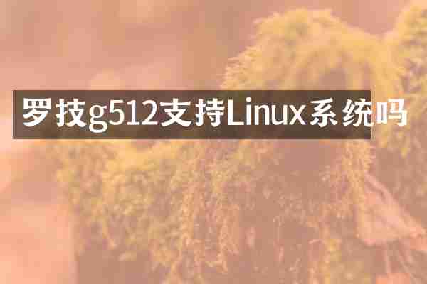 罗技g512支持Linux系统吗