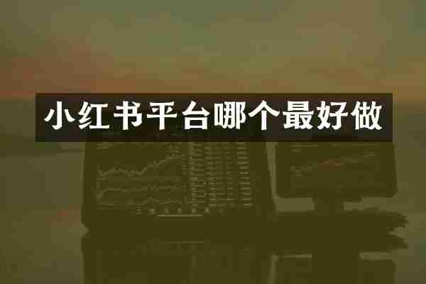 小红书平台哪个最好做