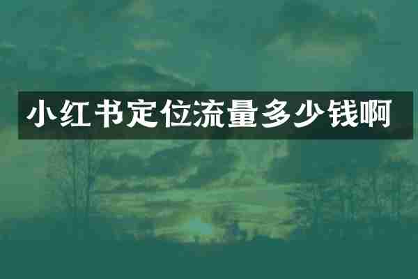 小红书定位流量多少钱啊