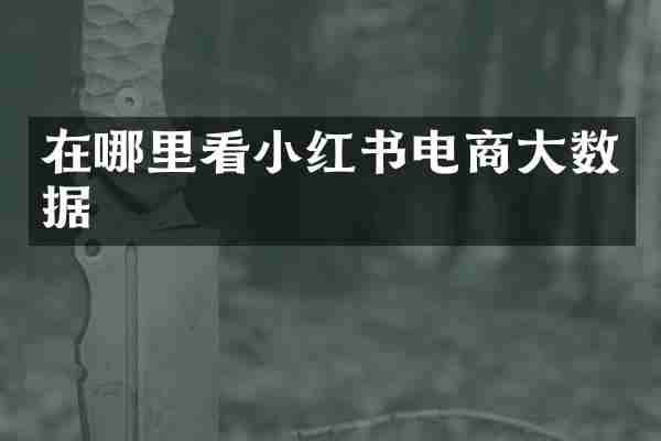 在哪里看小红书电商大数据