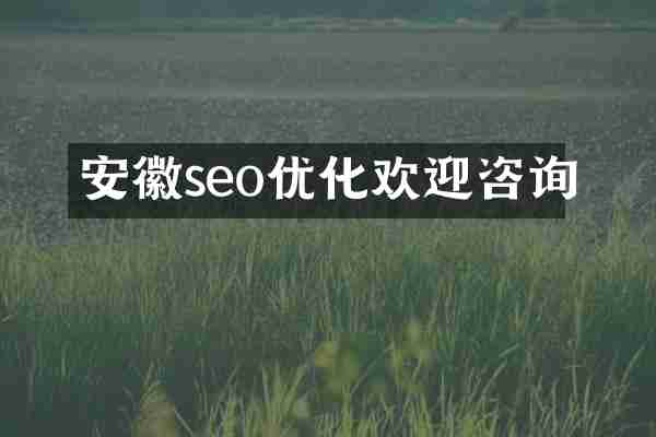 安徽seo优化欢迎咨询