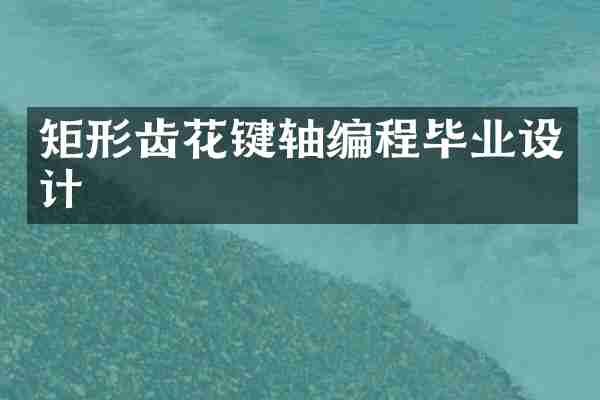 矩形齿花键轴编程毕业设计