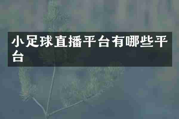 小足球直播平台有哪些平台