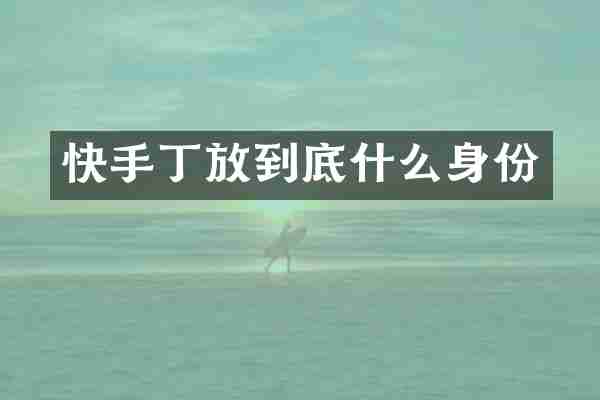 快手丁放到底什么身份