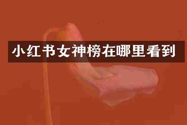 小红书女神榜在哪里看到