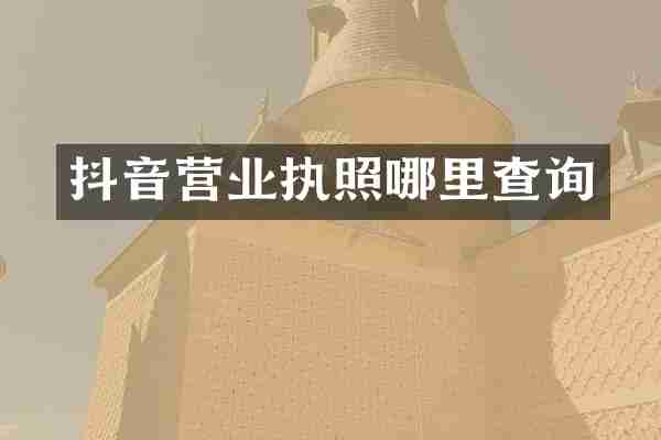 抖音营业执照哪里查询