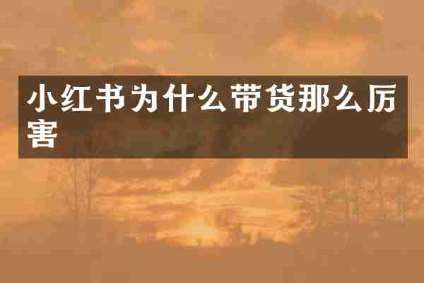 小红书为什么带货那么厉害