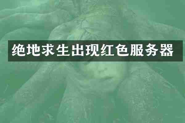 绝地求生出现红色服务器