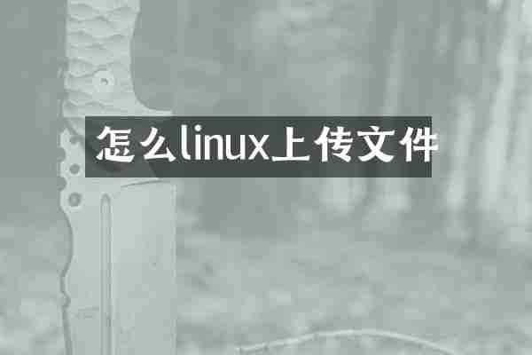怎么linux上传文件