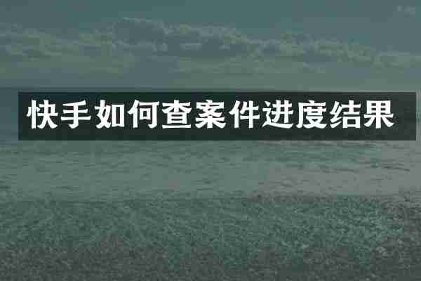 快手如何查案件进度结果