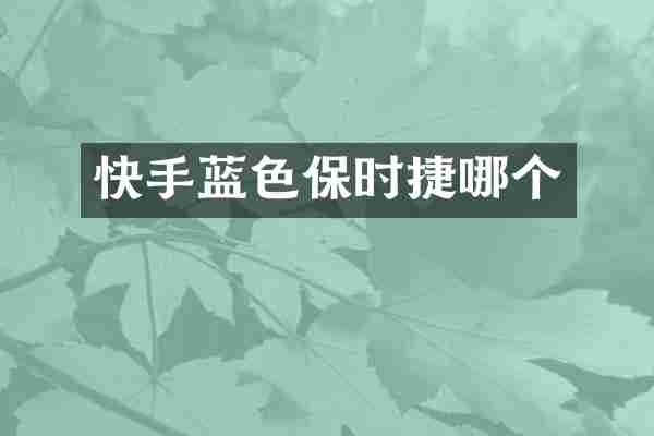 快手蓝色保时捷哪个