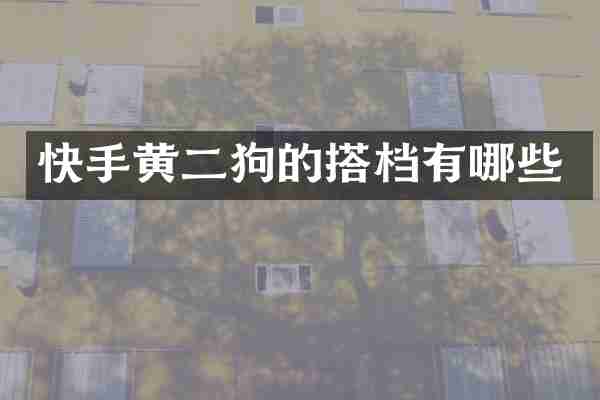 快手黄二狗的搭档有哪些