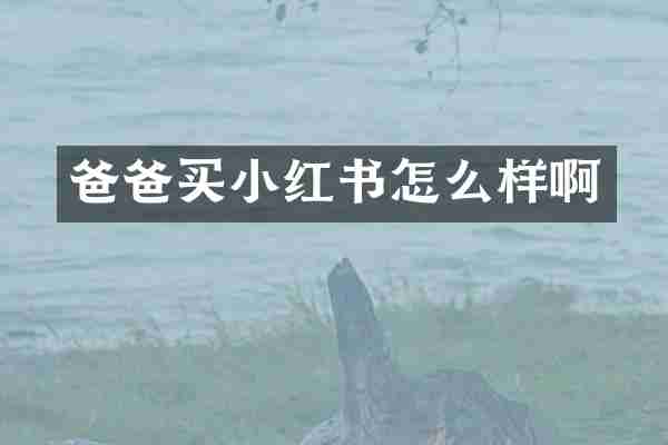 爸爸买小红书怎么样啊