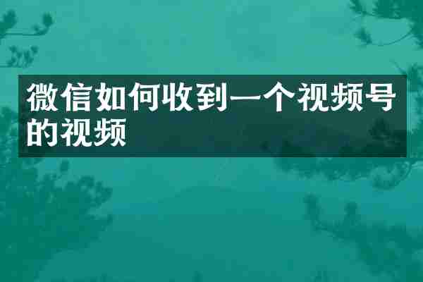 微信如何收到一个视频号的视频